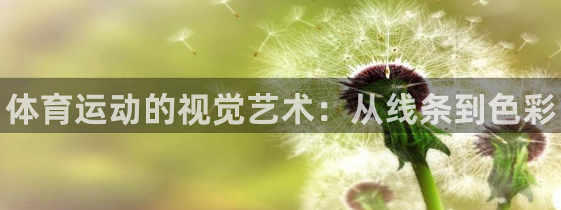 J9官网下载平台是正规平台吗安全吗：体育运动的视觉艺