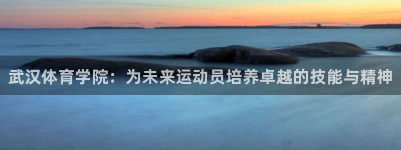 J9官方正版app集团logo：武汉体育学院：为未来