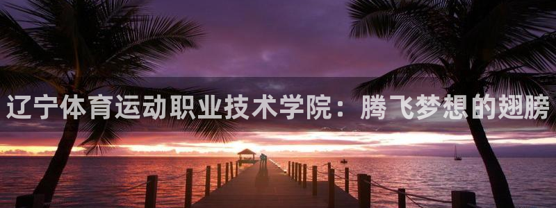 J9官方正版app集团logo：辽宁体育运动职业技术学院：腾
