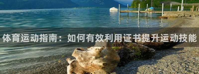 J9官方正版app开户：体育运动指南：如何有效利用证书提升运