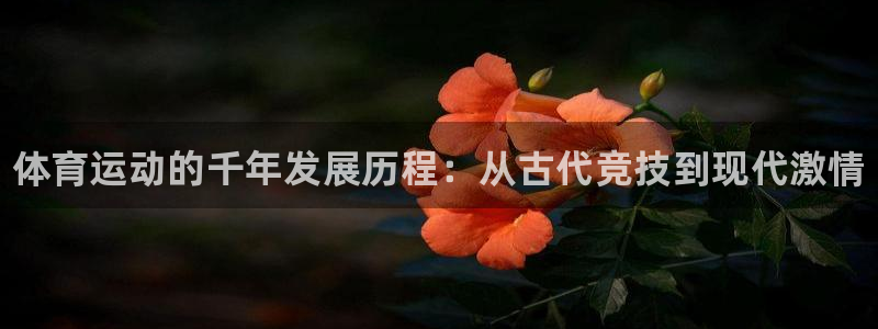J9官网下载平台注册流程图：体育运动的千年发展历程：从古代竞