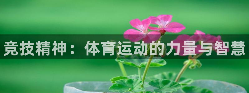 J9官方正版app娱乐首页网站大全：竞技精神：体育运动的力量