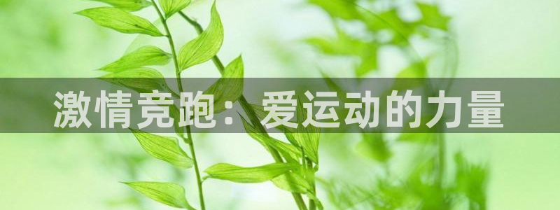 J9官网下载平台APP：激情竞跑：爱运动的力量