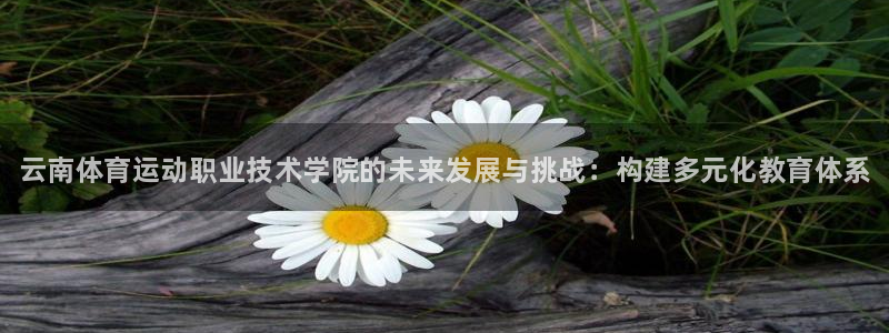 J9官网下载平台是正规平台吗知乎：云南体育运动职业技术学院的