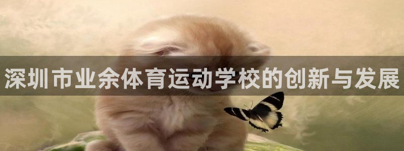J9官网下载平台假的吗是真的吗：深圳市业余体育运动学校的创新