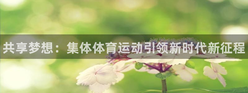 J9官方正版app娱乐