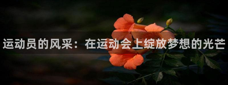 J9官网下载娱乐：运动员的风采：在运动会上绽放梦想的光芒