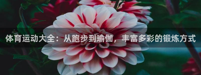 J9官网下载平台：体育运动大全：从跑步到瑜伽，丰富多彩的锻炼