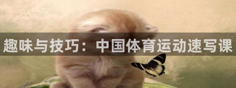 J9官网下载平台注册要钱吗安全吗：趣味与技巧：中国体