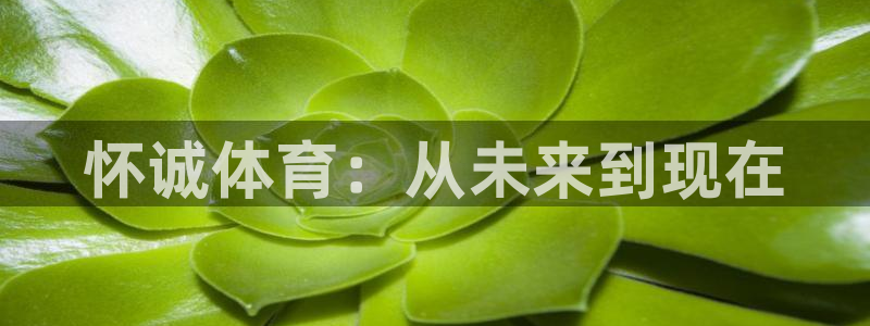 海南J9官网下载发展怎么样：怀诚体育：从未来到现在
