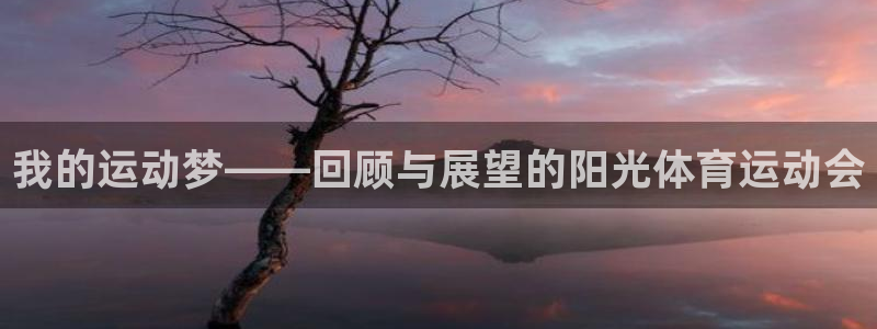 J9官网下载招商电话地址：我的运动梦——回顾与展望的