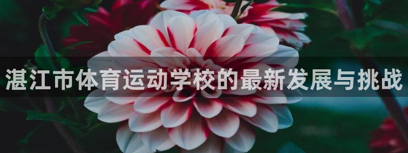 J9官网下载软件：湛江市体育运动学校的最新发展与挑战