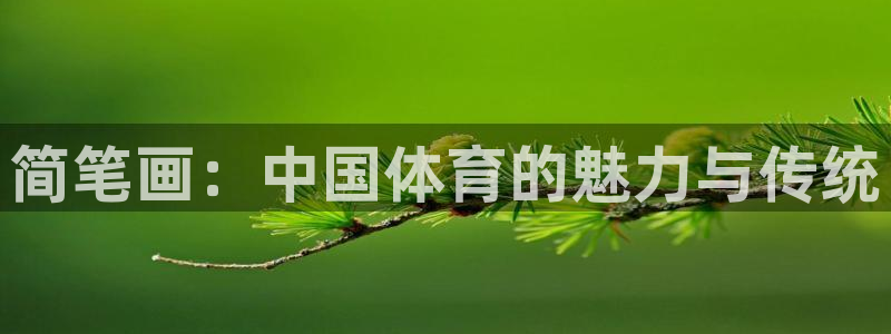 J9官网下载招商电话号码是多少：简笔画：中国体育的魅