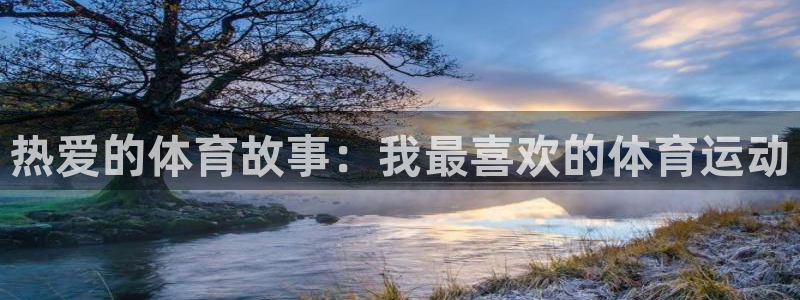 J9官方正版app官网：热爱的体育故事：我最喜欢的体