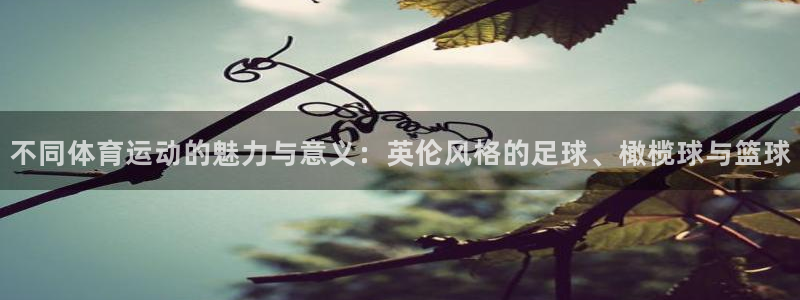 J9官网下载平台是正规平台吗安全吗：不同体育运动的魅