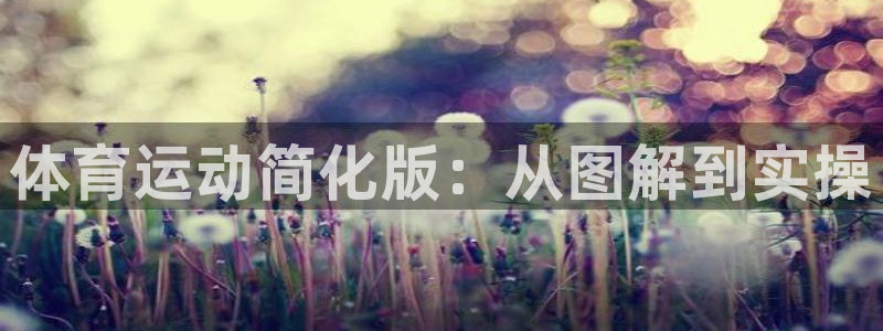 J9官方正版app五金厂：体育运动简化版：从图解到实操