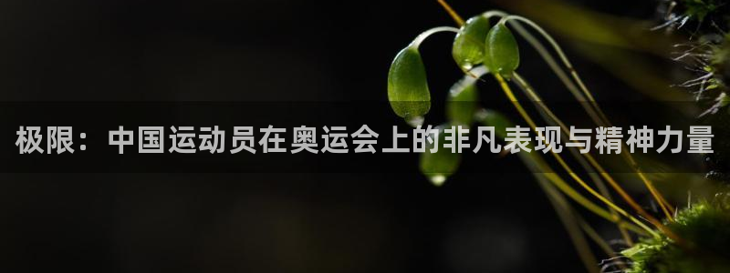 J9官方正版app集团官网首页网址