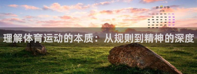 J9官网下载招商电话：理解体育运动的本质：从规则到精神的深度