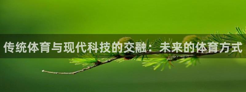 J9官方正版app集团：传统体育与现代科技的交融：未来的体育