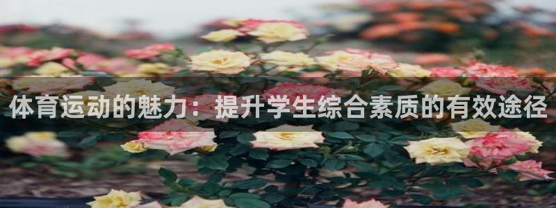 J9官方正版app集团官网首页网址：体育运动的魅力：提升学生