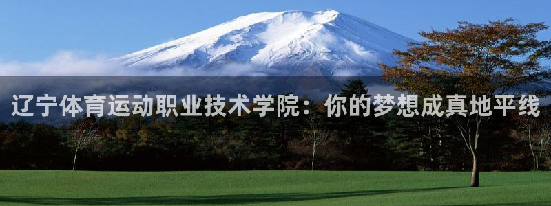 J9官方正版app集团官网首页：辽宁体育运动职业技术学院：你