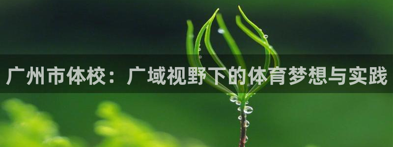J9官方集团官网