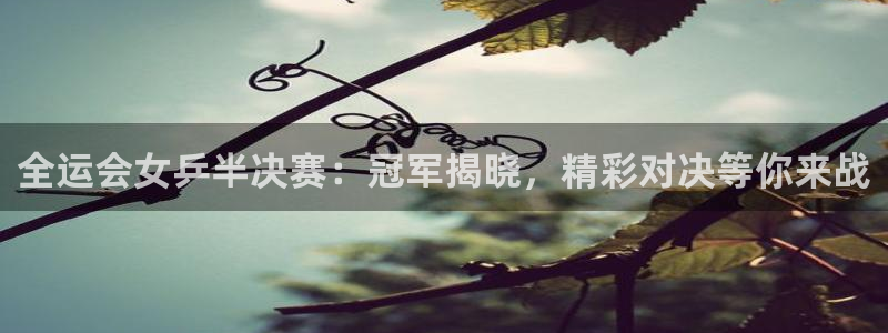 袋鼠直播在线播放：全运会女乒半决赛：冠军揭晓，精彩对决等你来战