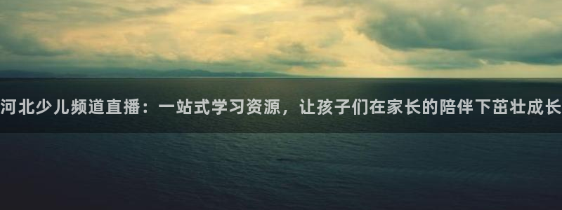 袋鼠直播体育五大球联赛：河北少儿频道直播：一站式学习资源，让孩子们在家长的陪伴下茁壮成长