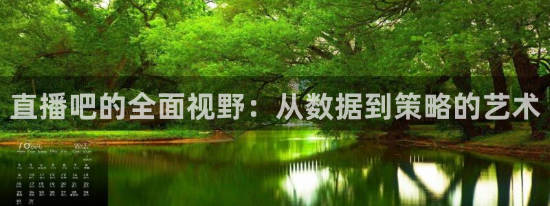 袋鼠直播nba在线观看：直播吧的全面视野：从数据到策略的艺术