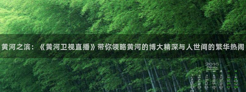 袋鼠体育直播nba：黄河之滨：《黄河卫视直播》带你领略黄河的博大精深与人世间的繁华热闹