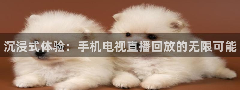 袋鼠体育：沉浸式体验：手机电视直播回放的无限可能