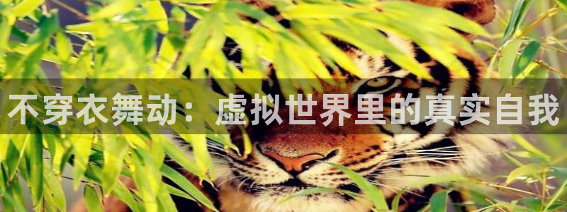 袋鼠直播在线观看：不穿衣舞动：虚拟世界里的真实自我