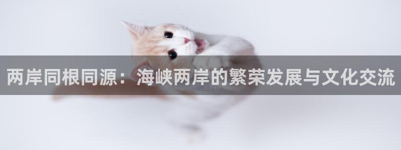 袋鼠直播jrs：两岸同根同源：海峡两岸的繁荣发展与文化交流