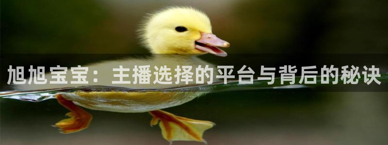 袋鼠体育在线直播免费：旭旭宝宝：主播选择的平台与背后的秘诀
