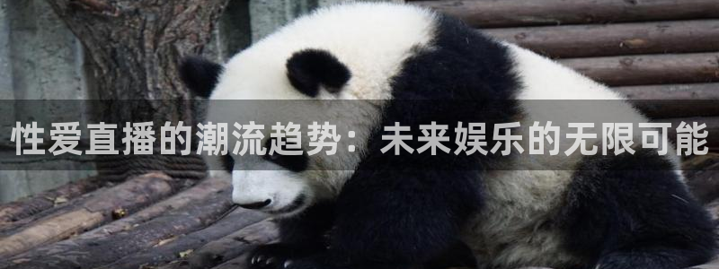 袋鼠nba体育比赛免费：性爱直播的潮流趋势：未来娱乐的无限可能