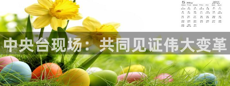 袋鼠直播nba免费观看篮球：中央台现场：共同见证伟大变革