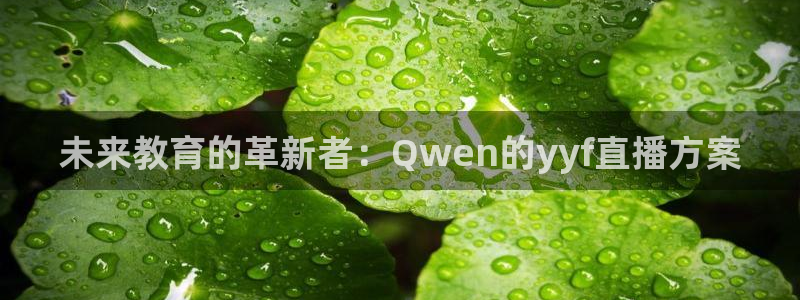 袋鼠直播体育app下载：未来教育的革新者：Qwen的yyf直播方案